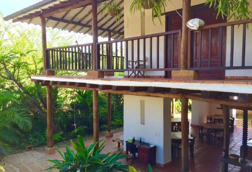 주니어 스위트, Achiotte Masaya Collection