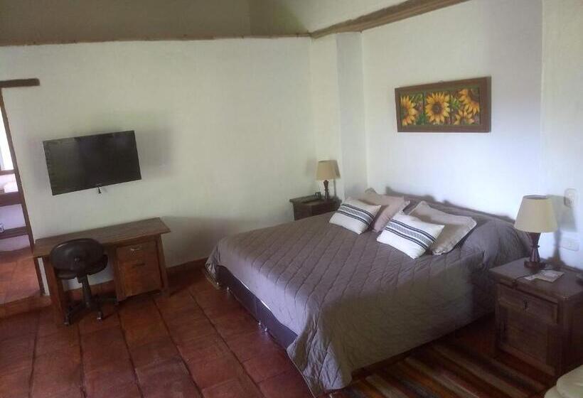 주니어 스위트, Achiotte Masaya Collection