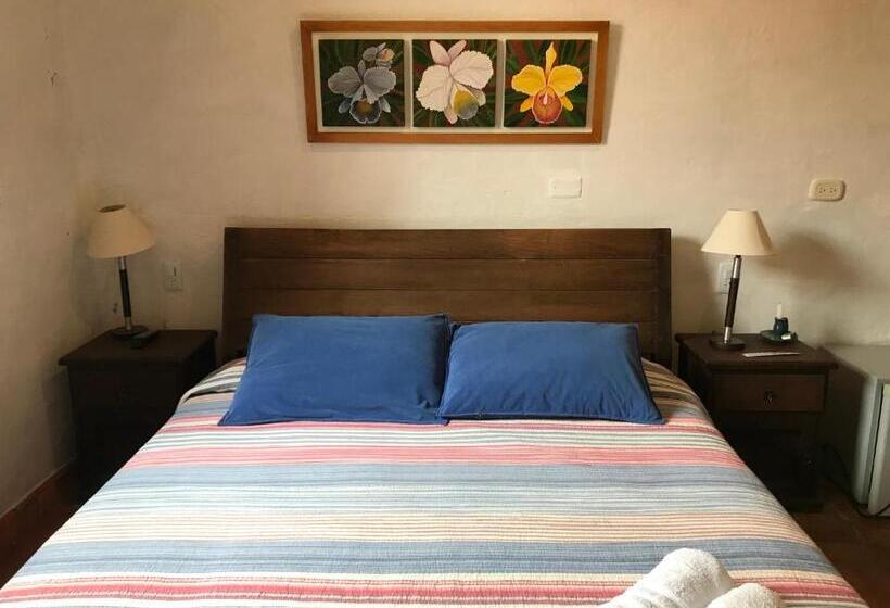 패밀리 룸, Achiotte Masaya Collection