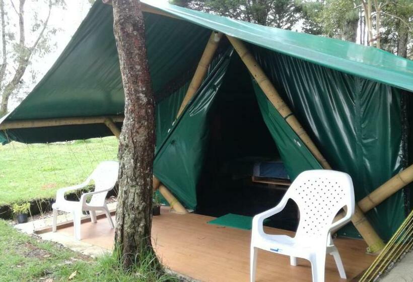 چادر با خدمات رفاهی استاندارد, Al Bosque Hostel & Glamping