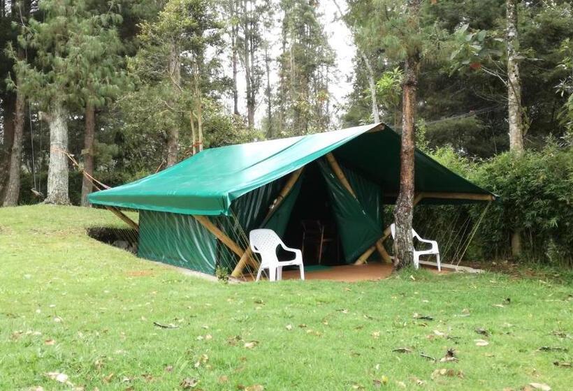 چادر با خدمات رفاهی استاندارد, Al Bosque Hostel & Glamping