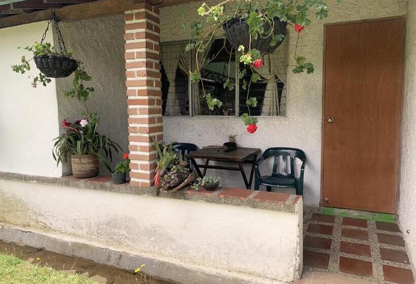 デラックストリプルルーム, Al Bosque Hostel & Glamping