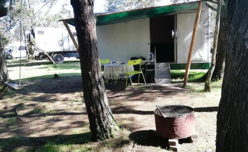 اتاق استاندارد, Al Bosque Hostel & Glamping