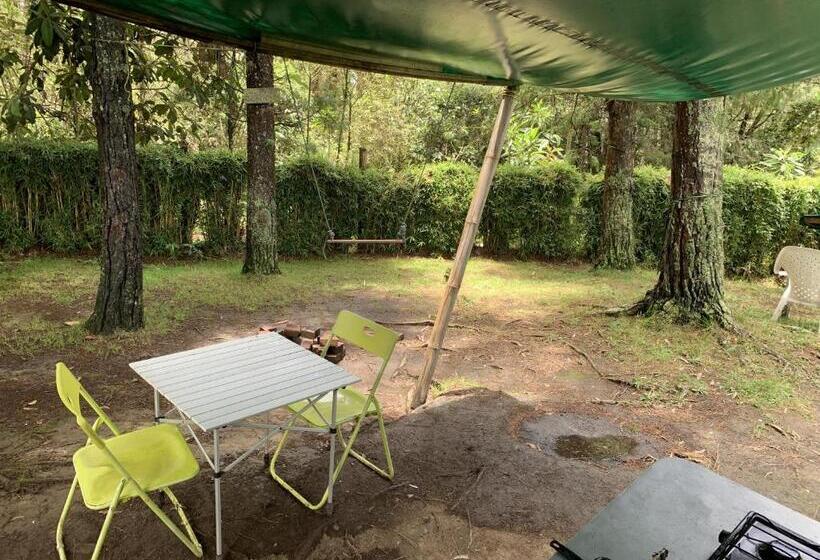 スタンダードルーム, Al Bosque Hostel & Glamping