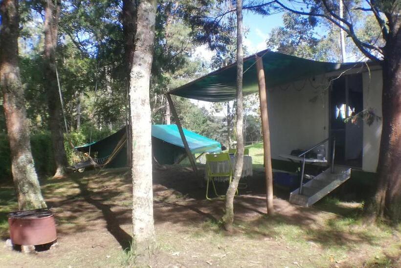 スタンダードルーム, Al Bosque Hostel & Glamping