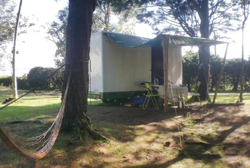 스탠다드 룸, Al Bosque Hostel & Glamping