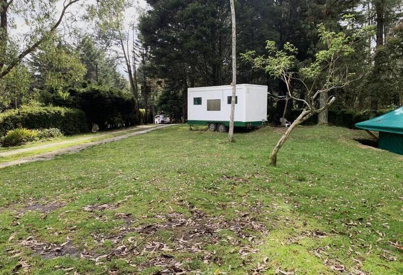 اتاق استاندارد, Al Bosque Hostel & Glamping