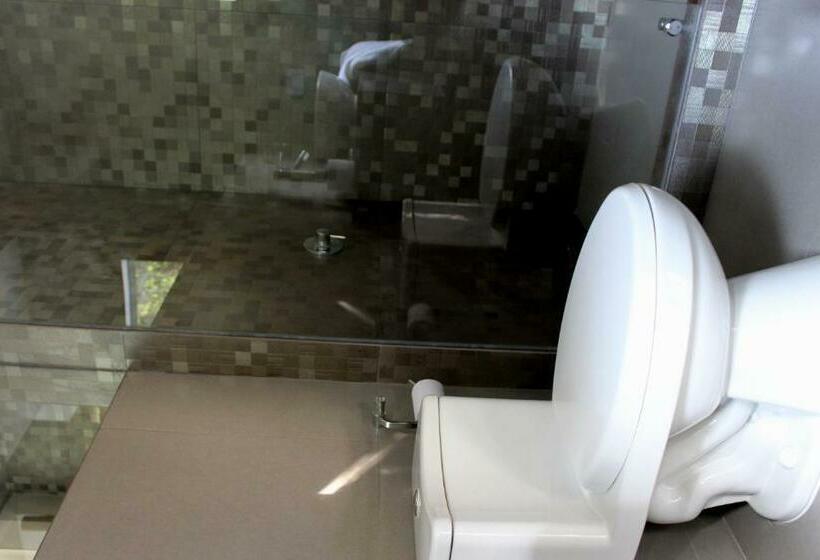 اتاق سوپریور, Banana S Adventure Hostel