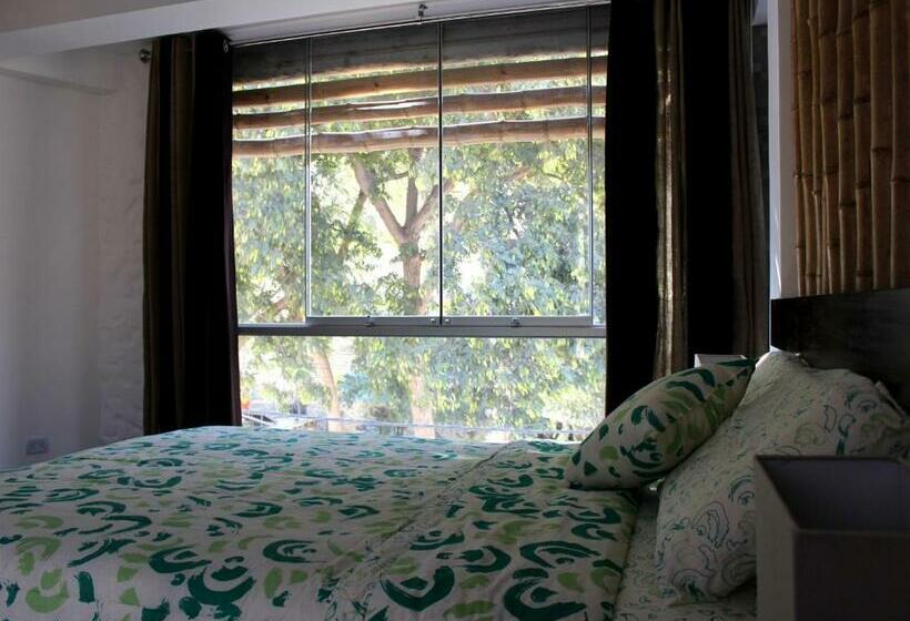 اتاق سوپریور, Banana S Adventure Hostel