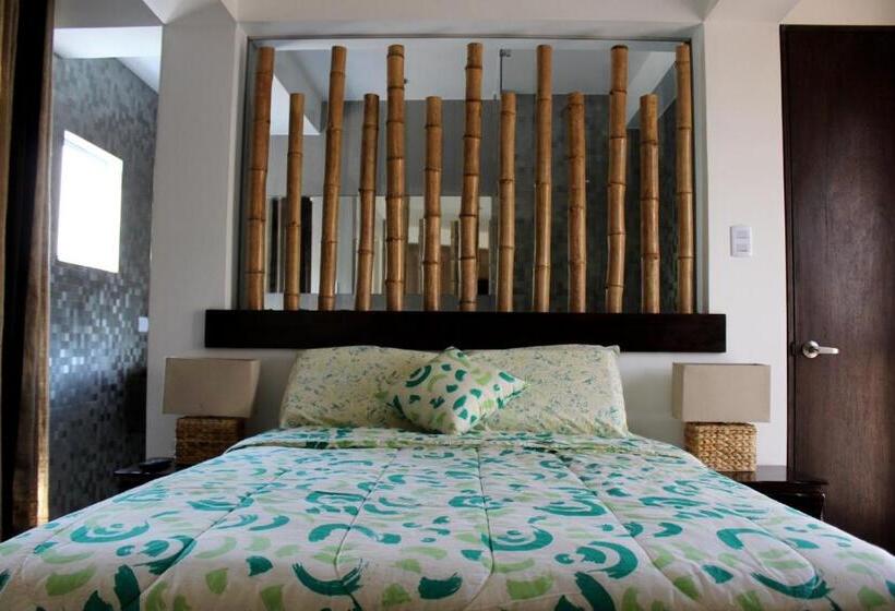 اتاق سوپریور, Banana S Adventure Hostel