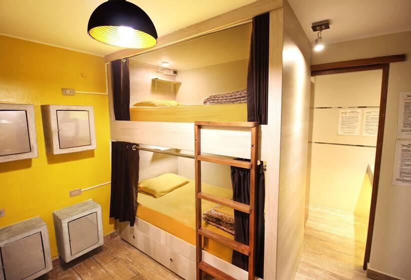 سرير فى غرفة مشتركه, Banana S Adventure Hostel