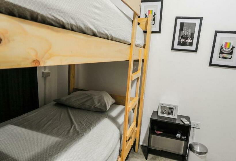 اتاق استاندارد چهارنفره با سرویس بهداشتی مشترک, Ica Adventures Ii