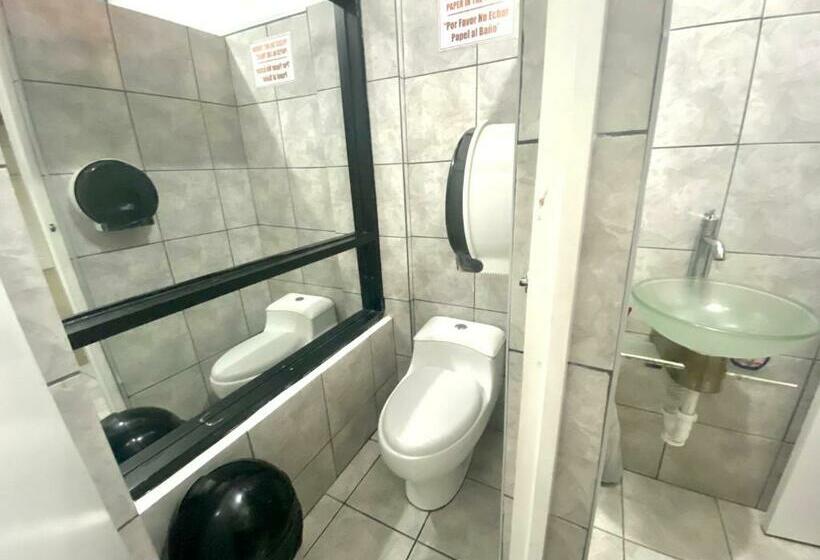 اتاق استاندارد چهارنفره با سرویس بهداشتی مشترک, Ica Adventures Ii