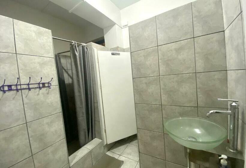 اتاق استاندارد چهارنفره با سرویس بهداشتی مشترک, Ica Adventures Ii