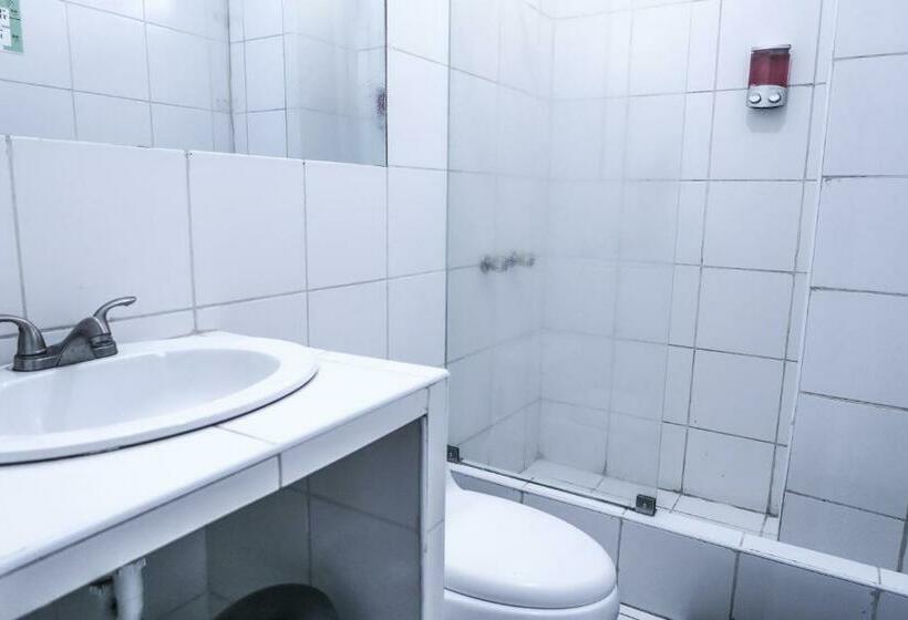 اتاق استاندارد چهارنفره با سرویس بهداشتی مشترک, Ica Adventures Ii