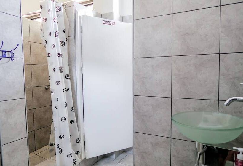 اتاق استاندارد چهارنفره با سرویس بهداشتی مشترک, Ica Adventures Ii