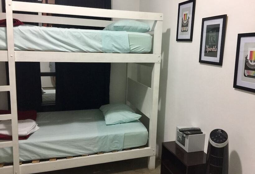 اتاق استاندارد چهارنفره با سرویس بهداشتی مشترک, Ica Adventures Ii