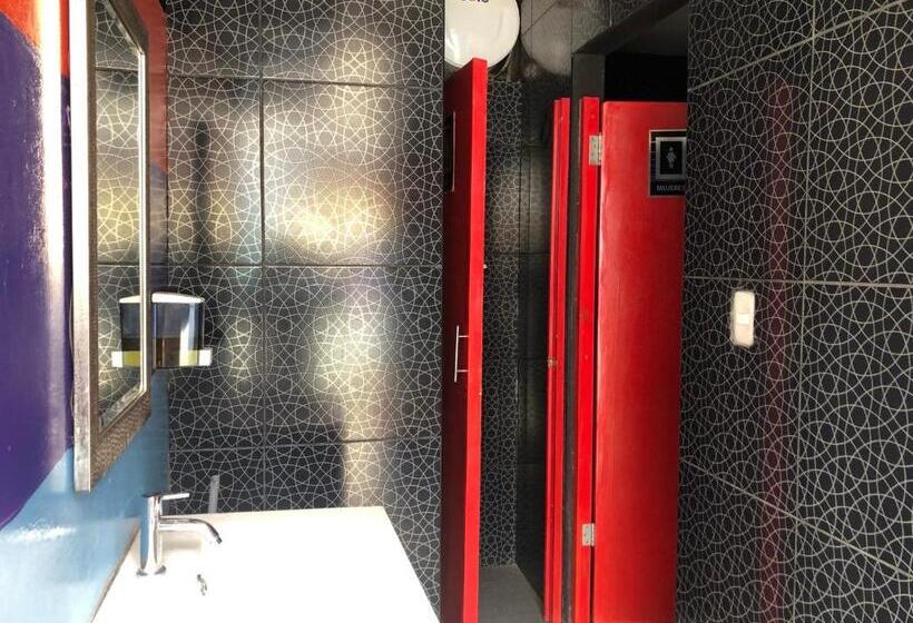 اتاق استاندارد چهارنفره با سرویس بهداشتی مشترک, Ica Adventures Ii