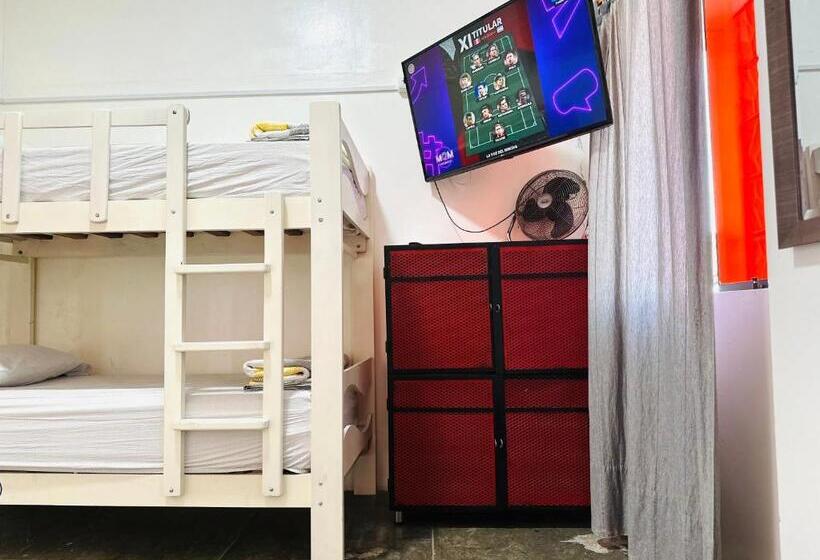 اتاق استاندارد چهارنفره با سرویس بهداشتی مشترک, Ica Adventures Ii