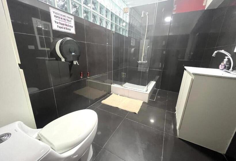 اتاق خانوادگی, Ica Adventures Ii