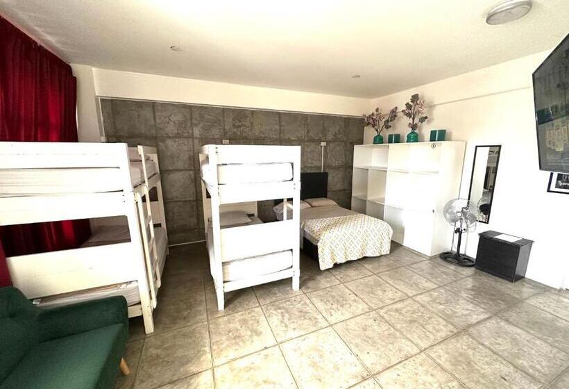 اتاق خانوادگی, Ica Adventures Ii