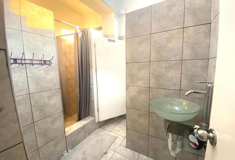 اتاق لوکس خانوادگی, Ica Adventures Ii