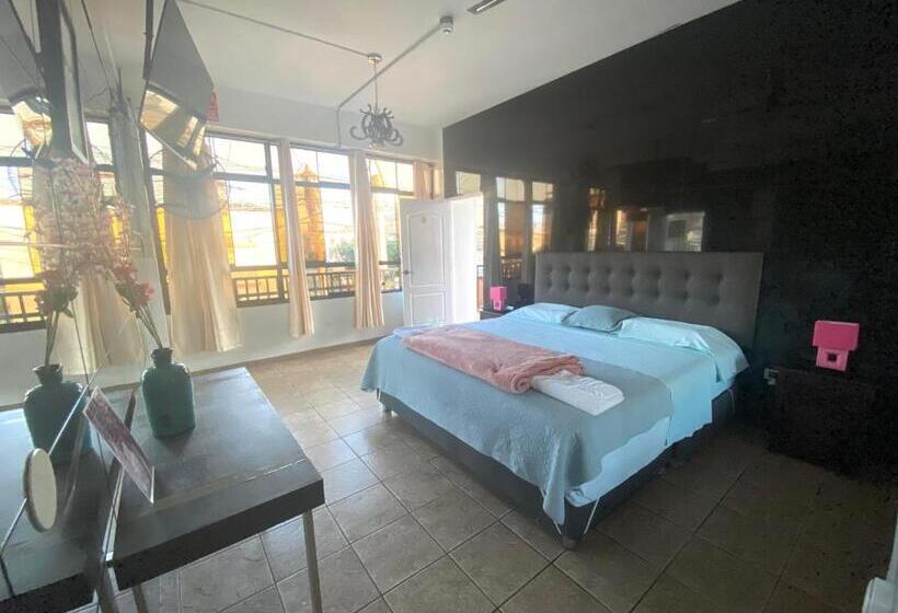 اتاق لوکس خانوادگی, Ica Adventures Ii