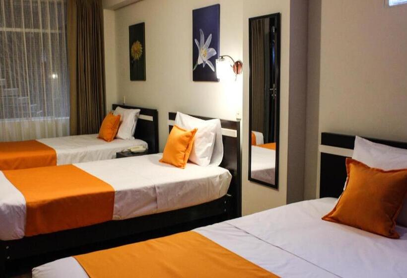 غرفة قياسية ثلاثية, Platinium