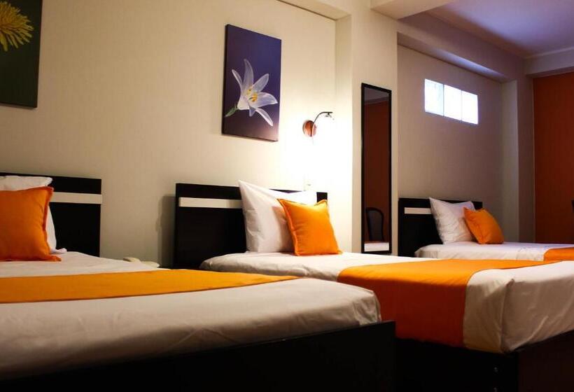 غرفة قياسية ثلاثية, Platinium