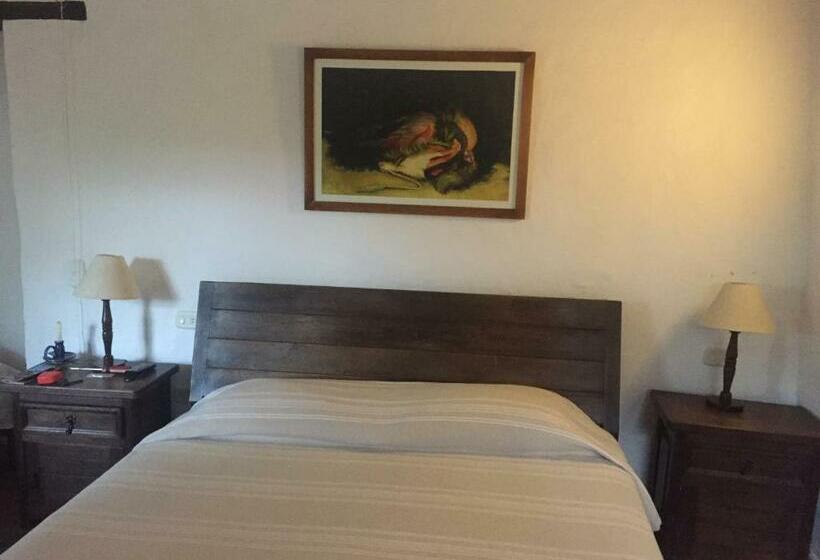 수피리어 룸, Achiotte Masaya Collection