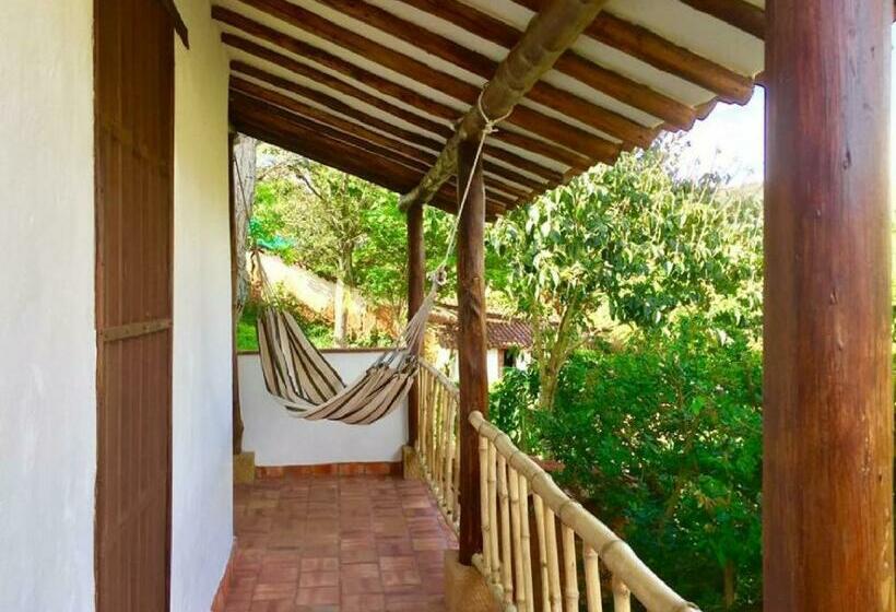 اتاق سوپریور, Achiotte Masaya Collection