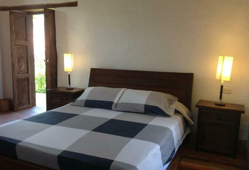 수피리어 룸, Achiotte Masaya Collection