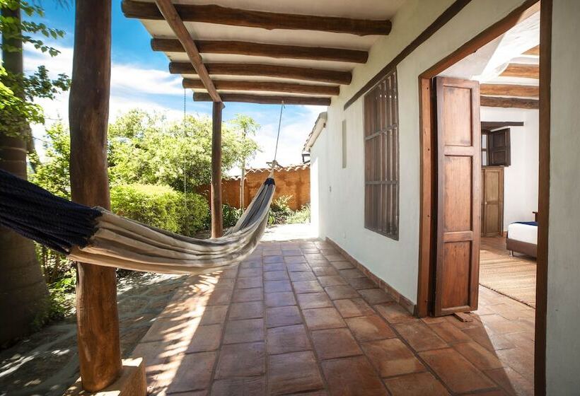 주니어 스위트, Achiotte Masaya Collection