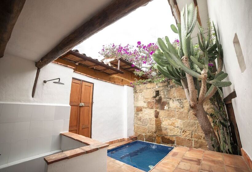 스위트, Achiotte Masaya Collection