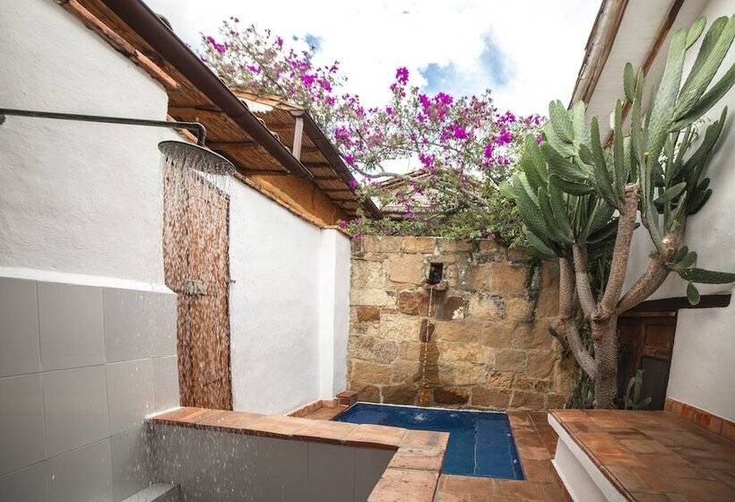 스위트, Achiotte Masaya Collection