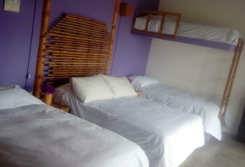 スタンダード４人部屋, Bamboo Lodge