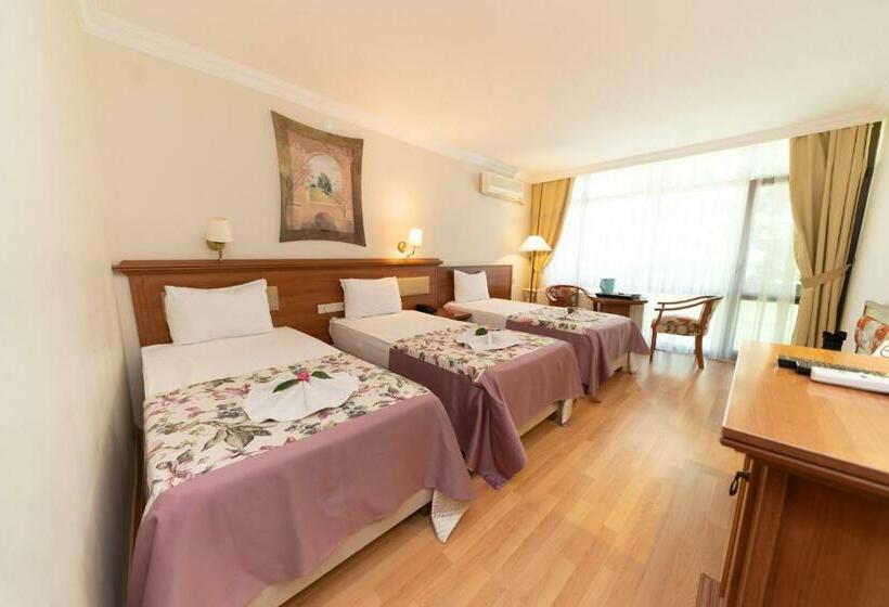 标准间, Troia Tusan