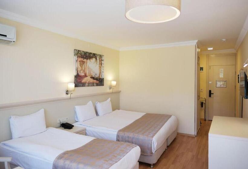 标准间, Troia Tusan