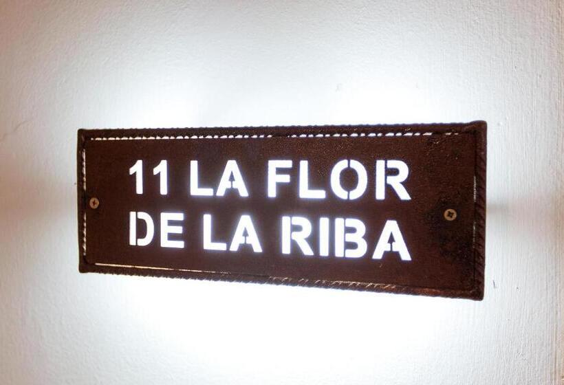 סוויטה עם מרפסת, Villa San Jorge