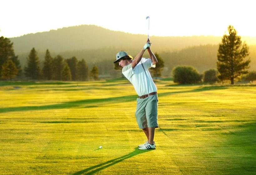 شقة غرفة واحدة, Modern Hotel Style Studio   Timber Creek Lodge #210 Hotel Room