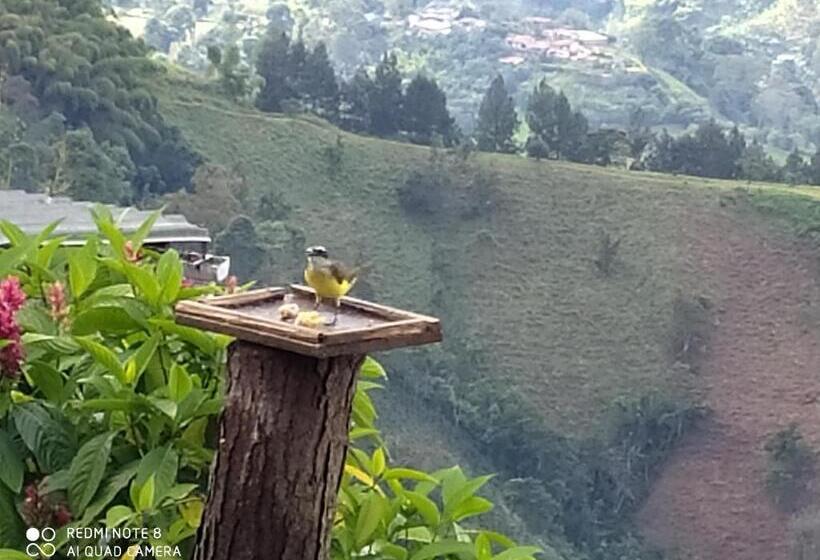 בקתת חדר, Mirador Finca Morrogacho