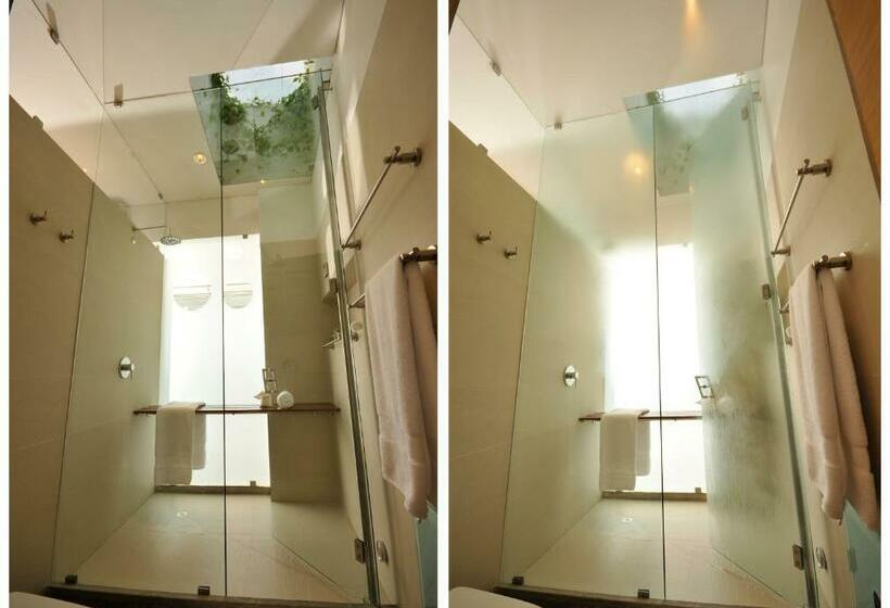 スイート, Acquasanta Lofts