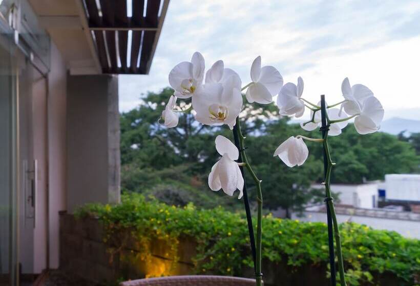 套房, Acquasanta Lofts