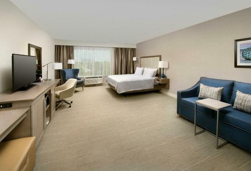 Deluxe Suite King Bed, Hampton Inn By Hilton Wilmington Downtown