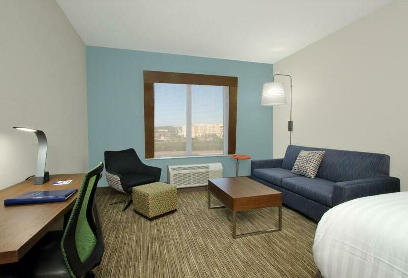 سوئیت با تخت بزرگ, Holiday Inn Express & Suites Columbus North By Ihg