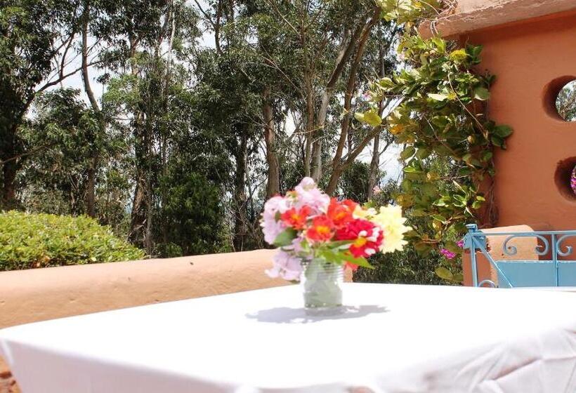 اتاق استاندارد, Suites Arcoiris