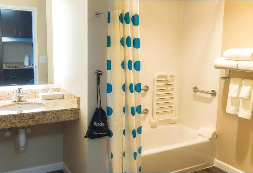 סטודיו סטנדרט, מיטה זוגית, Towneplace Suites By Marriott Columbia Northwest/harbison