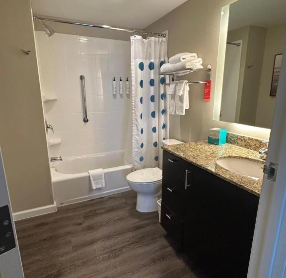 סטודיו סטנדרט, מיטה זוגית, Towneplace Suites By Marriott Columbia Northwest/harbison