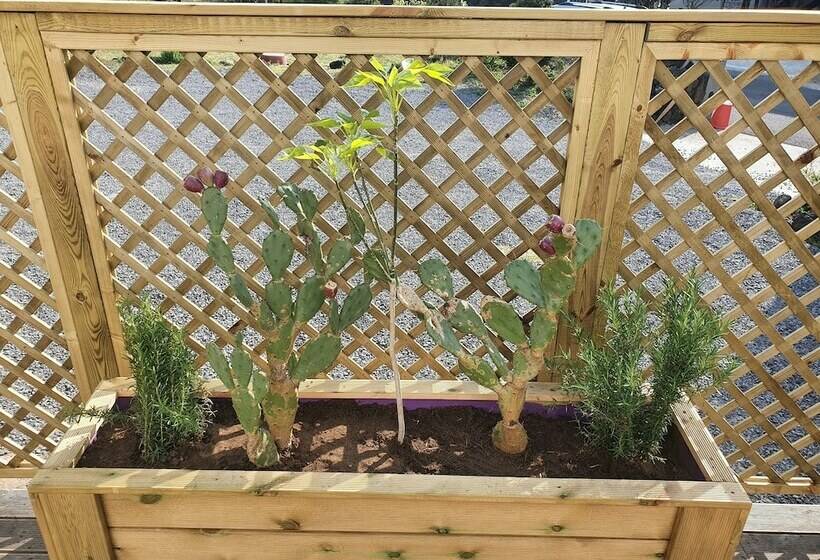 اتاق استاندارد, Salon De Tangza