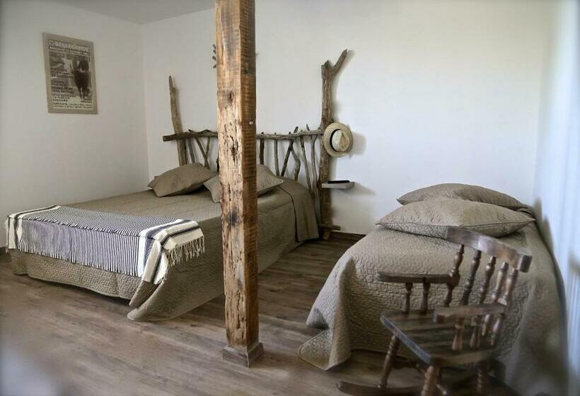 带大床的标准间, Mas Du Menage En Camargue Manade Clauzel